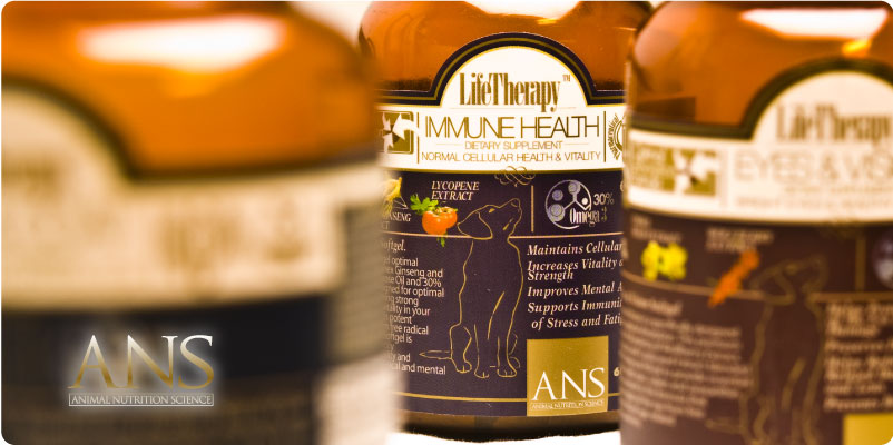 Immune Health