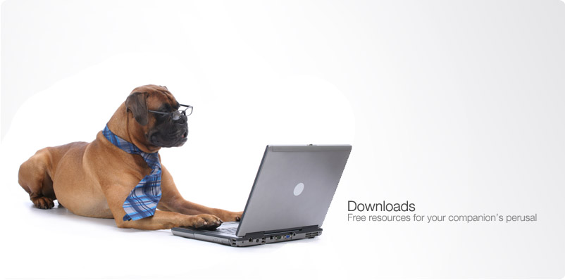 Downloads