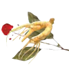 Icon Ginseng