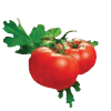 Icon Lycopene