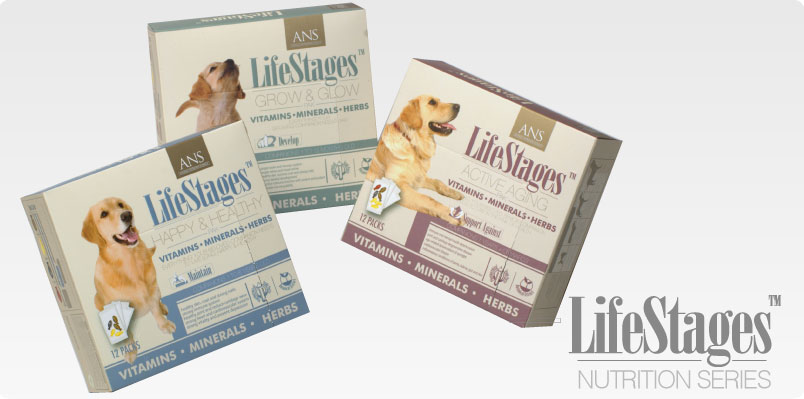 LifeStages
